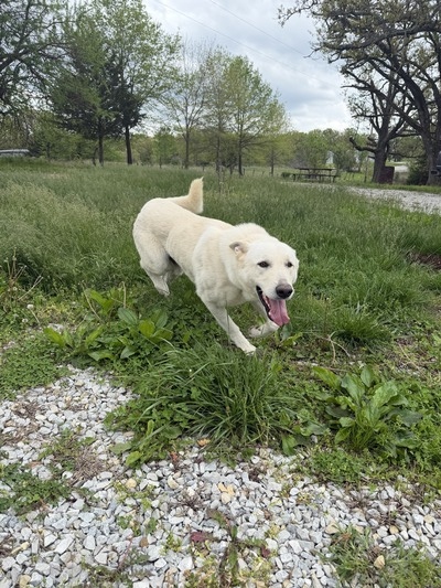 Charlie
